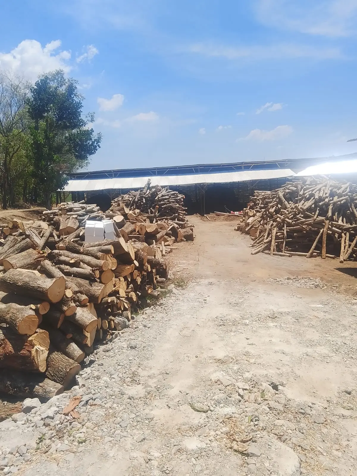 Arundaya Global Fortune